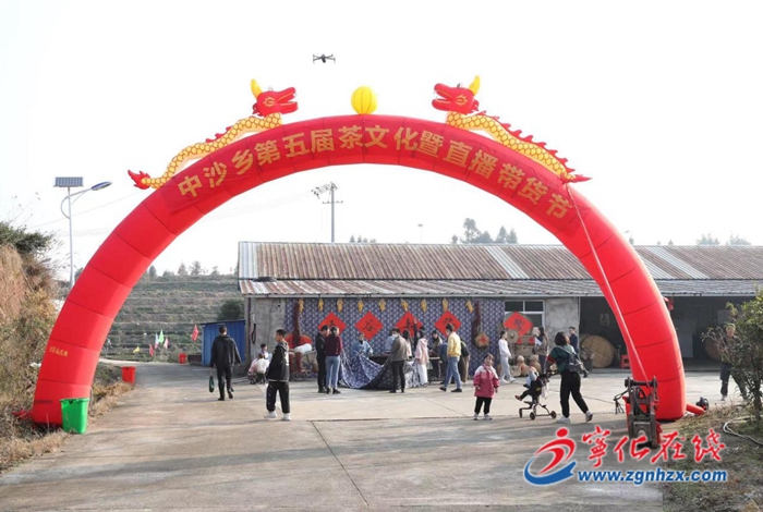 寧化中沙鄉舉辦第五屆茶文化暨直播帶貨節