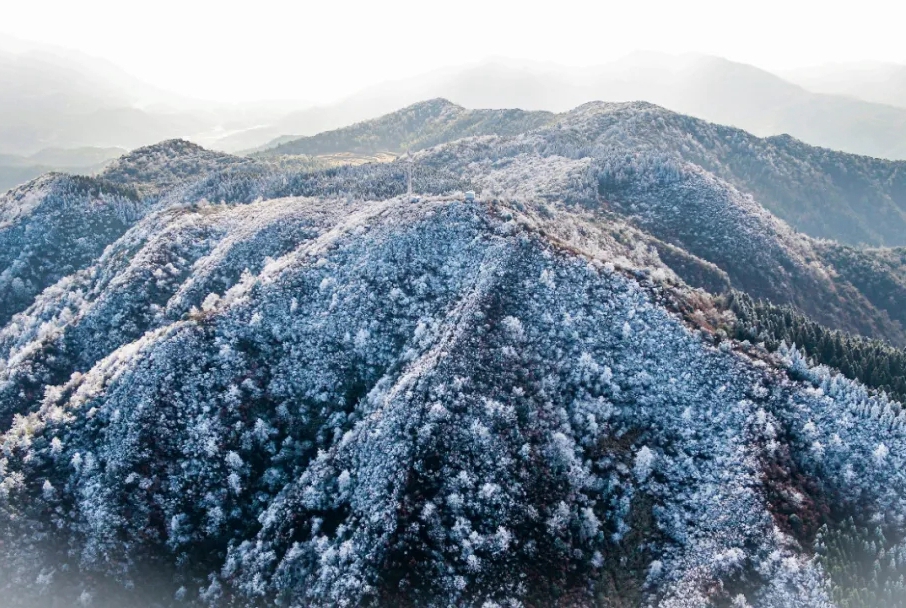 重要天氣預警報告