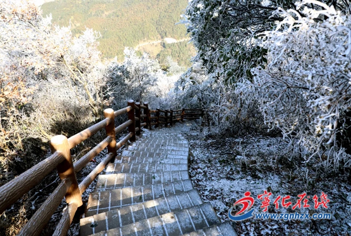 寒潮來襲！這些防凍措施要知道