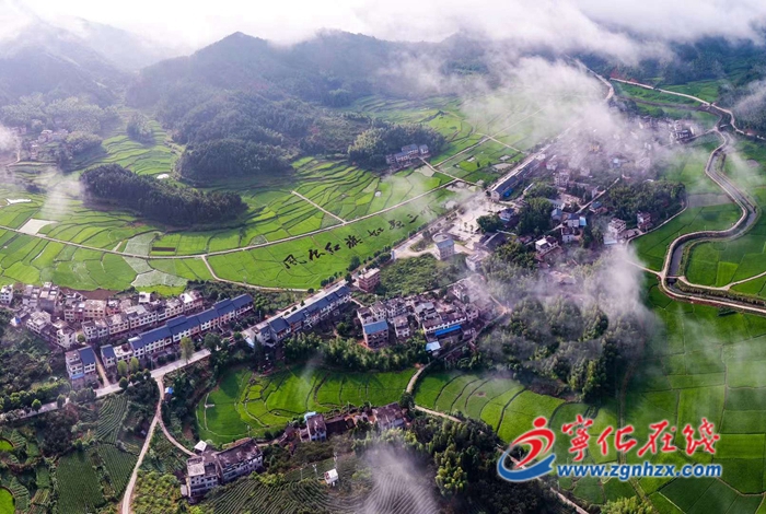 政府工作報告解讀|今后五年主要目標，堅持生態(tài)優(yōu)先，打造綠色田園