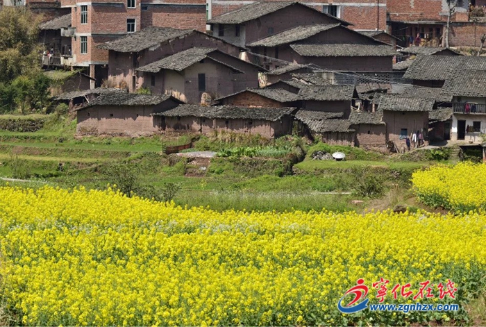 南田——客家入閩第一村