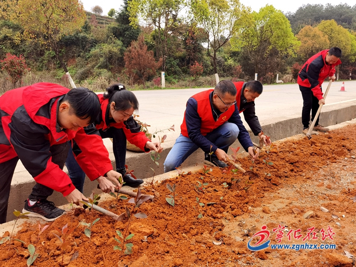 寧化：黨員補植復綠添春光