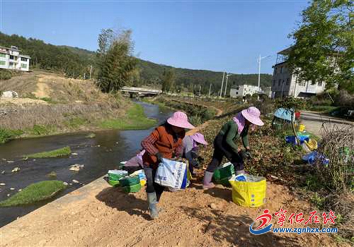 寧化縣方田鄉:植樹綠化打造宜居家園