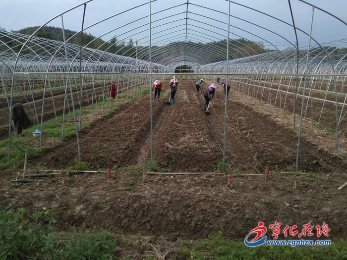 黨建聯(lián)創(chuàng)賦能鄉(xiāng)村振興