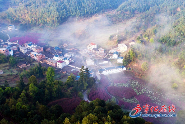 好山好水 淌出“綠色財富”