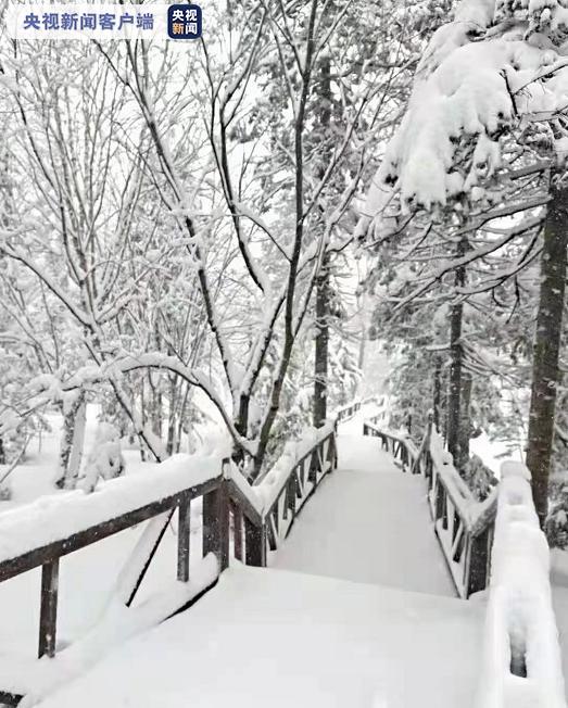 夏季飄雪!黑龍江又下雪了→