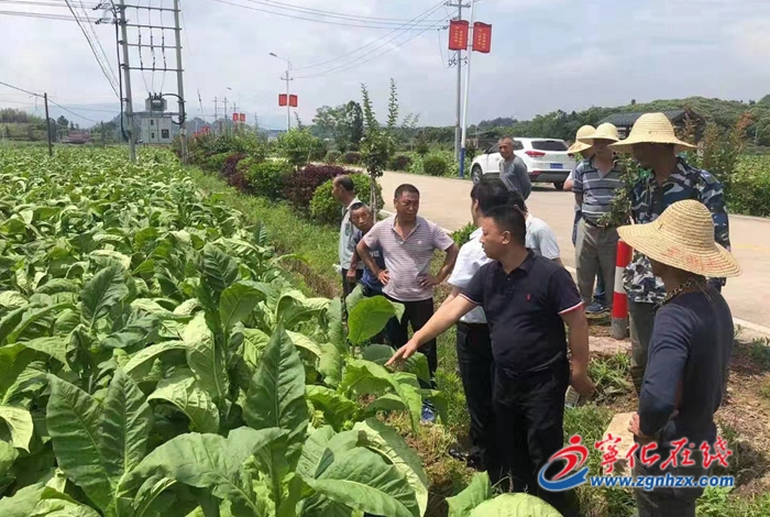 寧化淮土鎮：遭受暴雨襲擊，全力開展生產自救