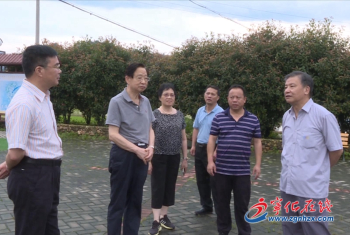 省鄉(xiāng)村振興“兩會”咨詢組來寧化調(diào)研