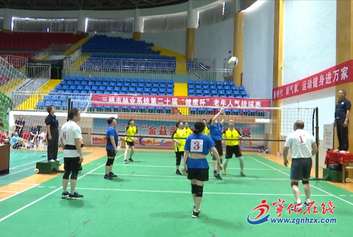 市林業系統第二十屆老年人氣排球賽在寧化舉行
