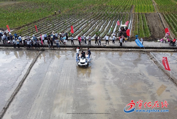 寧化：推廣水稻機械精量直播新技術