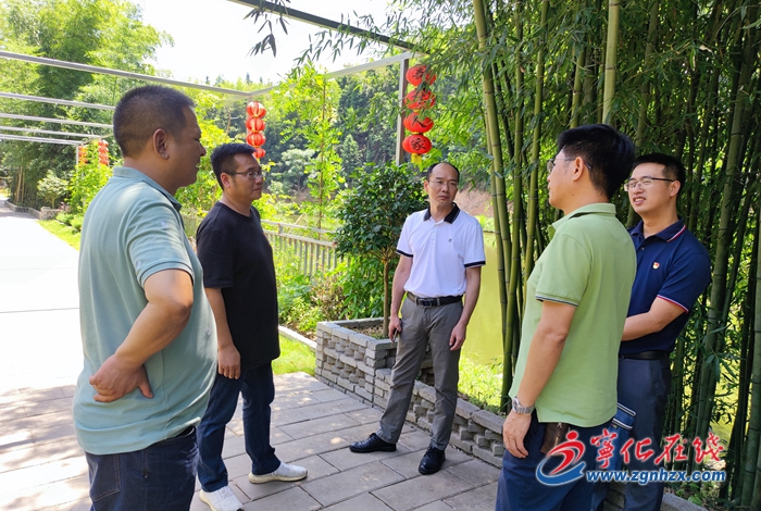 寧化縣領導到翠江鎮調研