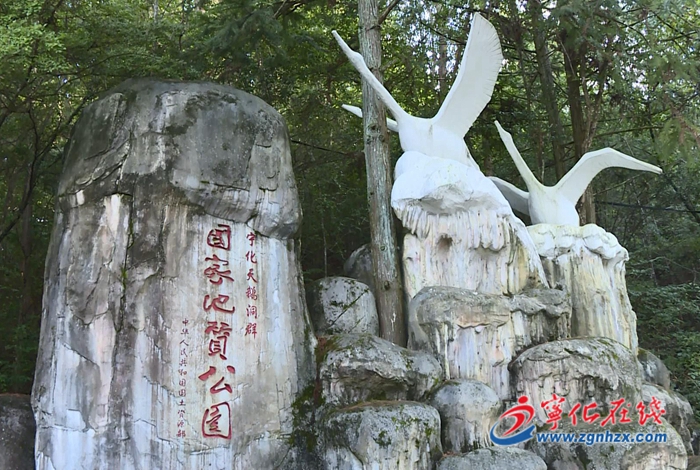 【牢記囑托再出發(fā) 攻堅克難促發(fā)展——寧化這五年】立足生態(tài)優(yōu)勢  打造康養(yǎng)福地