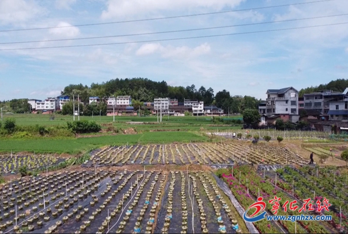 淮土鎮(zhèn)：引入園林企業(yè) 助力鄉(xiāng)村振興