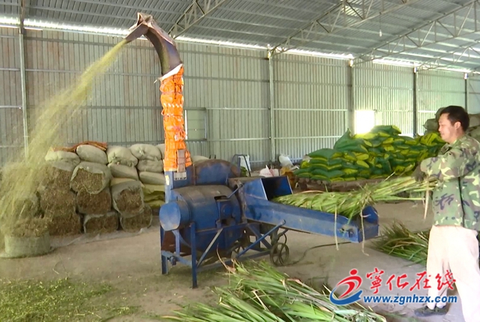 淮土鎮(zhèn)：共同富裕取得新進(jìn)步