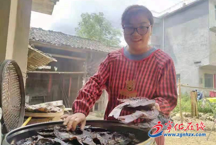 寧化：稻花香里鯉魚(yú)肥