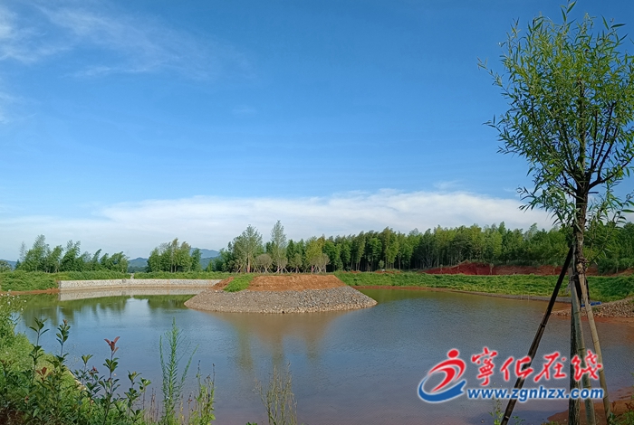 湖村鎮：圓桌議事會 議出大民生