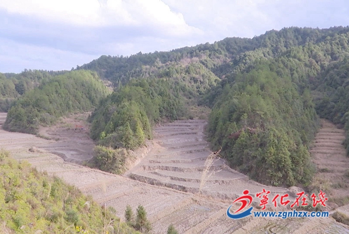 寧化曹坊：荒地復耕 “沉睡”土地變良田