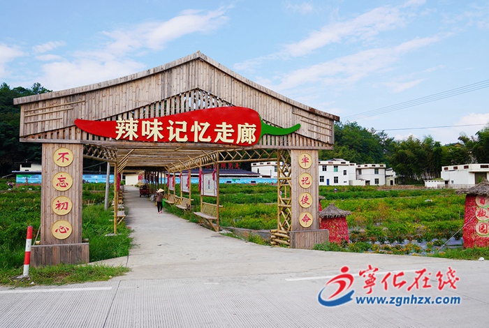 【奮進(jìn)新征程 建功新時(shí)代·非凡十年——部門篇】縣農(nóng)業(yè)農(nóng)村局：全面推進(jìn)鄉(xiāng)村振興 農(nóng)業(yè)現(xiàn)代化建設(shè)邁上新臺(tái)階