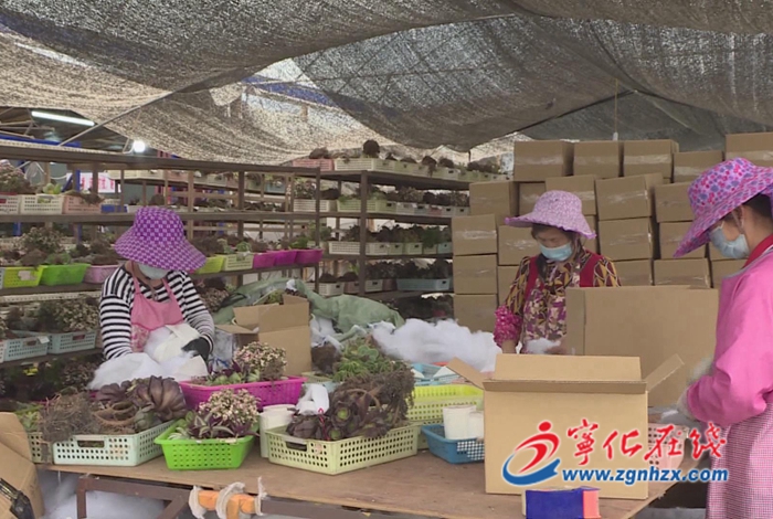 【奮進新征程 建功新時代?非凡十年——鄉鎮篇安樂鎮:產業振興 建設美麗新農村】