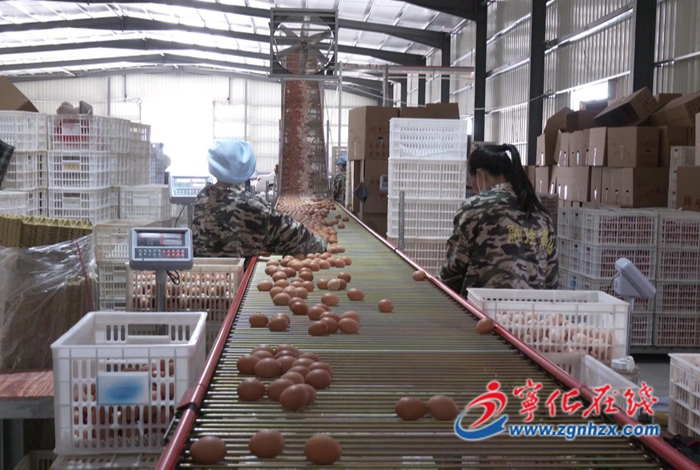 【奮進新征程 建功新時代·非凡十年——鄉鎮篇】水茜鎮:十年成就鼓舞人心,開拓奮進譜寫新篇