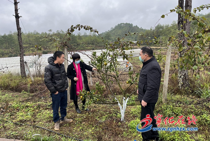 寧化淮土鎮(zhèn)：農技專家助力農戶“防寒”