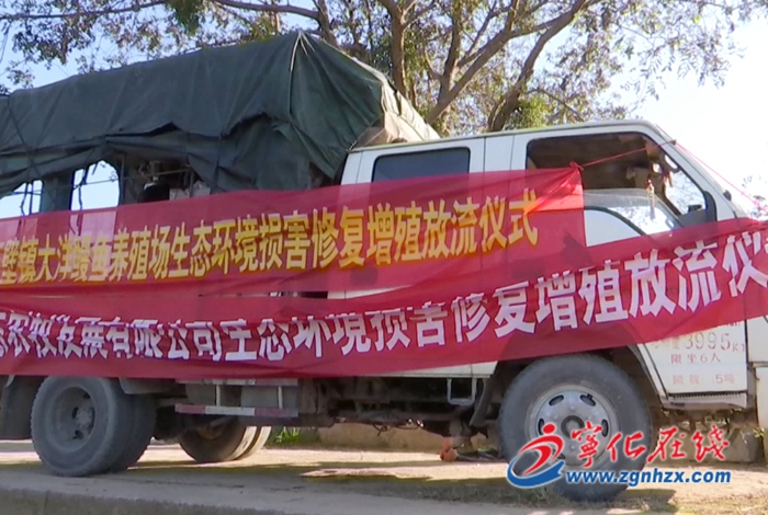 寧化開展生態(tài)環(huán)境損害修復增殖放流活動