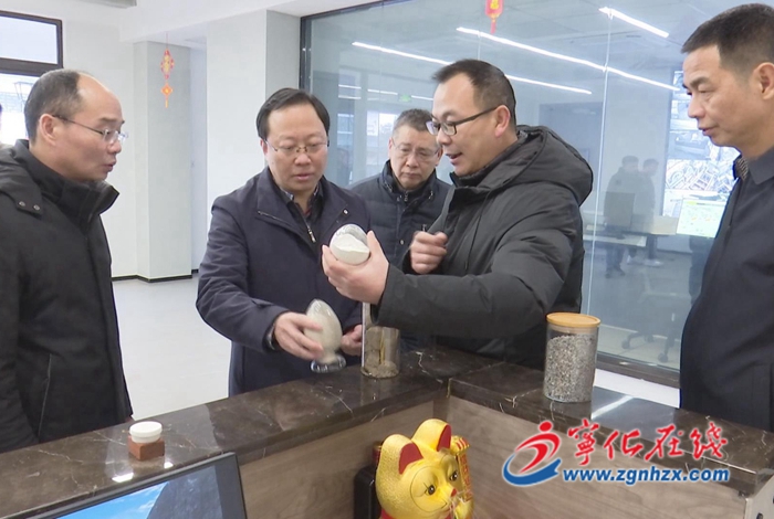 市領導來寧化指導督促一季度“開門穩(wěn)”“開門紅”工作