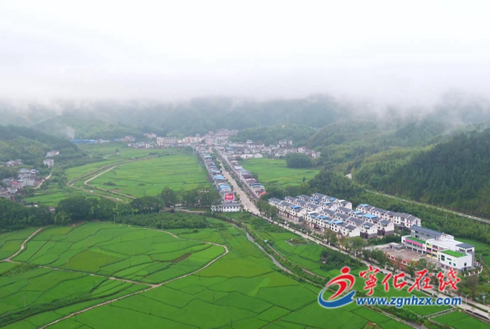 多肉大棚開出“振興花”