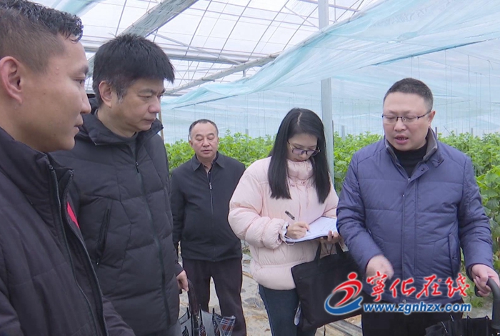 省農業廳到寧化縣開展“兩直兩前”調研 助力農業生產開門紅