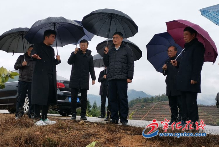 市領(lǐng)導(dǎo)來(lái)寧督促調(diào)研農(nóng)業(yè)生產(chǎn)抗寒防凍工作