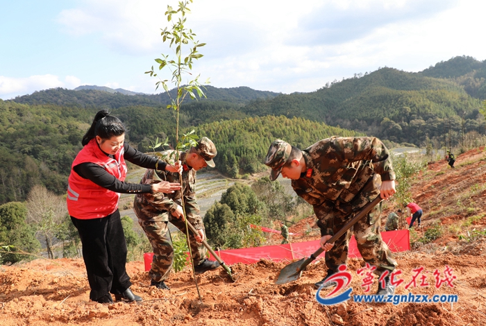 寧化：軍民攜手義務植樹