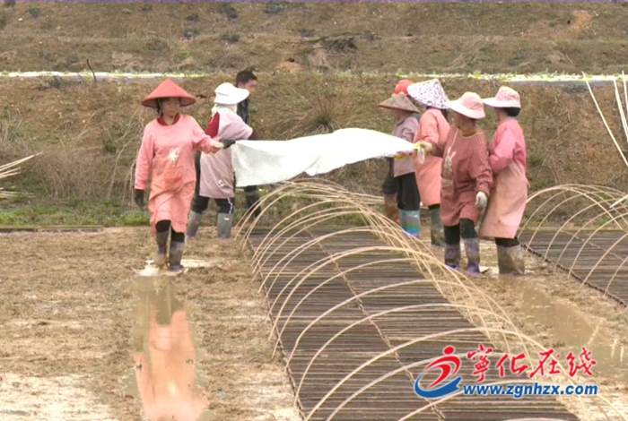 寧化：春耕備耕正當時 不負農時不負春