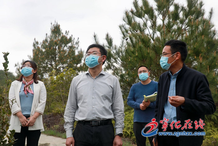 寧化縣領(lǐng)導(dǎo)開展水土保持工作項目調(diào)研