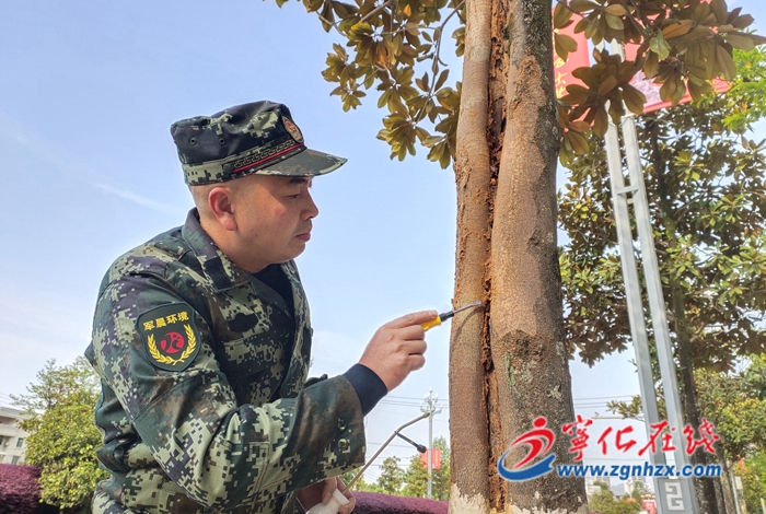 謝生發：專業消殺托起退伍老兵創業夢