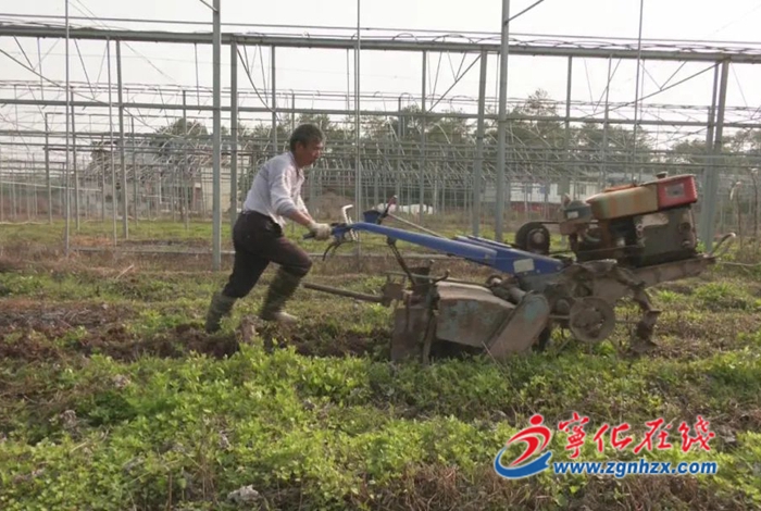 寧化:培植農(nóng)產(chǎn)品產(chǎn)業(yè)落地 奮力實現(xiàn)“開門紅”