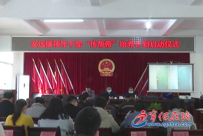 安遠鎮：傳幫帶 促進年輕干部快速成長