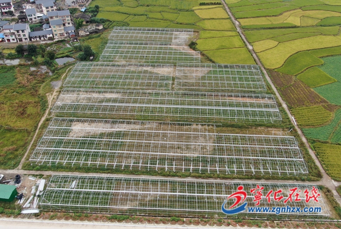 【“三提三效”見行動】簽約6個項目，總投資11.18億元，泉上鎮(zhèn)全力奮戰(zhàn)二季度！