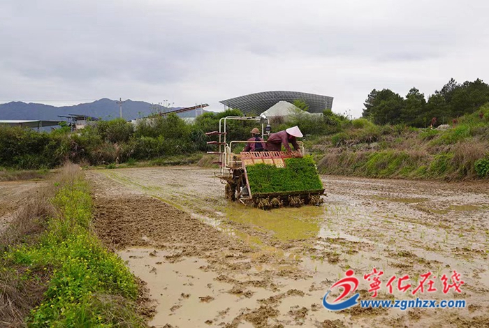 寧化：生產(chǎn)托管新模式 “管”出現(xiàn)代農(nóng)業(yè)新氣象