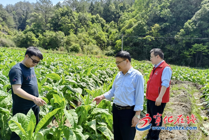 寧化聯社積極開展災后精準幫扶工作