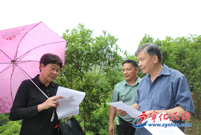 三明鄉(xiāng)村振興促進(jìn)會(huì)調(diào)研組到寧化調(diào)研