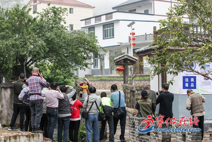 寧化城南：“喜迎黨的二十大，秀出鄉村振興新變化”攝影大賽啟動