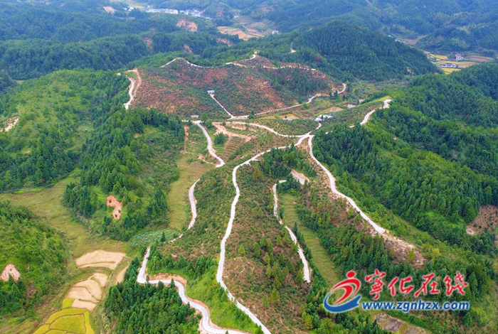 海創(chuàng)會開幕在即  寧化縣有序推進籌備工作