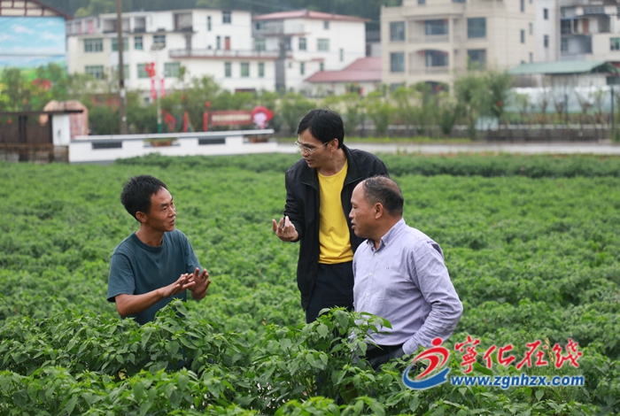 守護(hù)舌尖安全 讓“寧字號”農(nóng)產(chǎn)品更安全優(yōu)質(zhì)