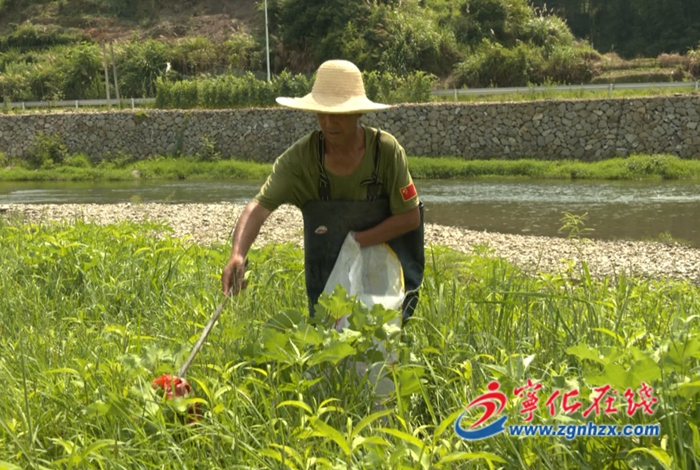 青山綠水是無價之寶|邱德福：水茜溪的“最美守護者”