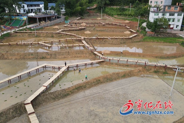 寧化城郊：特色近郊游助力鄉村振興