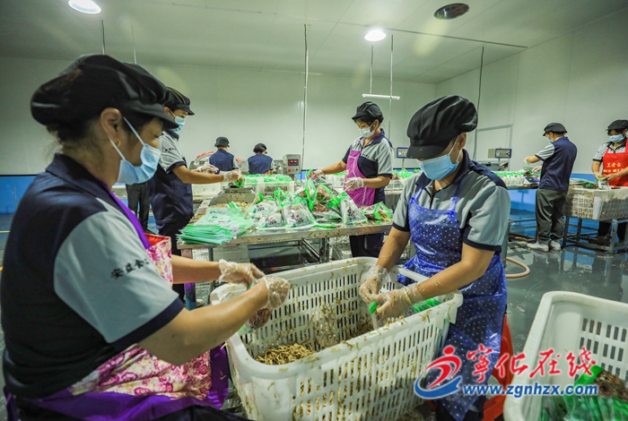 寧化:立“竹”資源 做“竹”文章