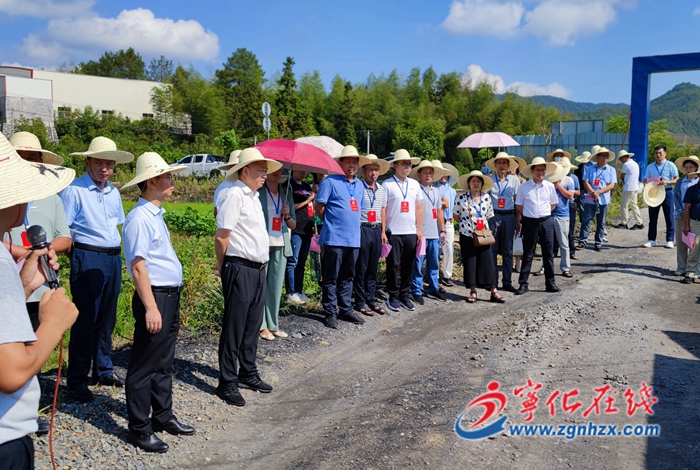 寧化召開全縣“委員河長”工作現場推進會