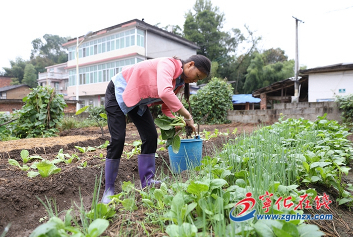 葉香:用愛和責(zé)任撐起一個(gè)家