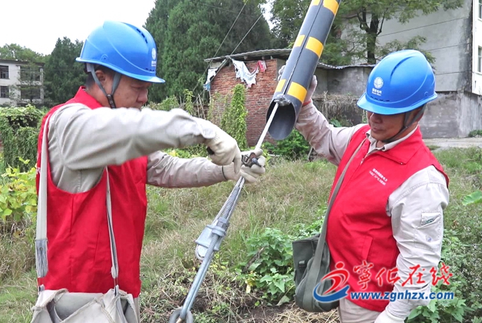 學習進行時|國網寧化縣供電公司:金秋時節保電助豐收