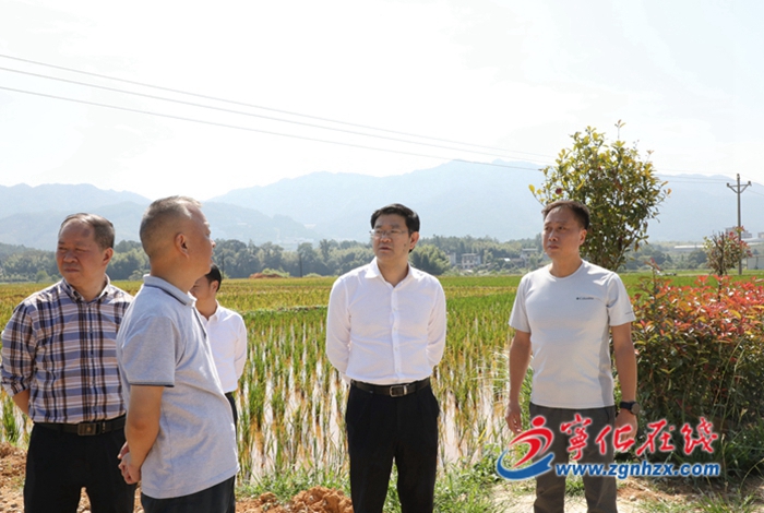 寧化縣領導開展主題教育專題調研